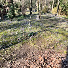 23-02-13 13-01-48 4194